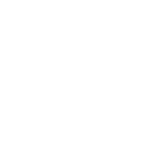 Strich logo